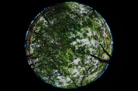 LikeMyPlanet