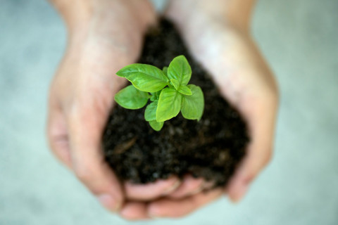 Sustainability