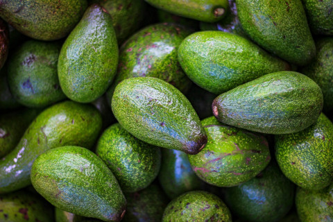AvocadoDay