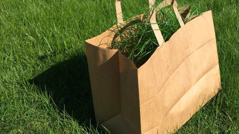 GreenFriday