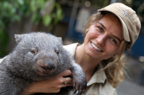 WombatDay