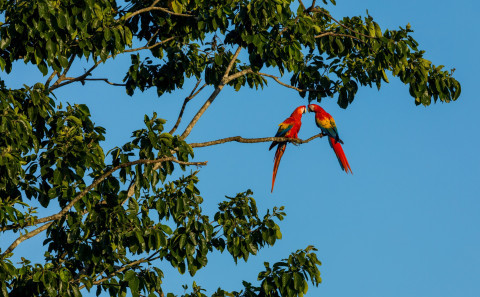 biodiversity