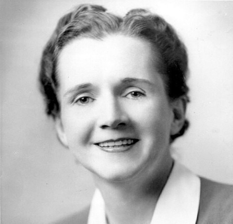 RachelCarson