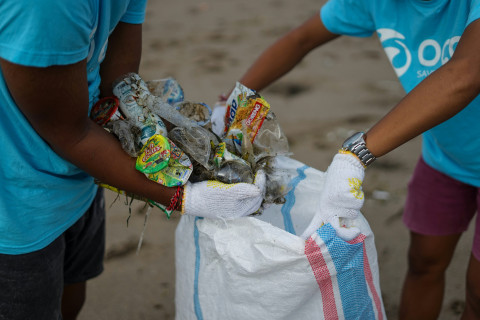 WorldCleanupDay