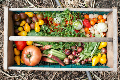 SustainableFood