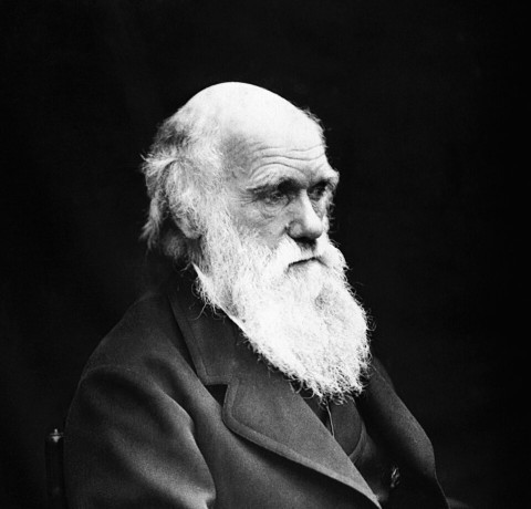 Darwin