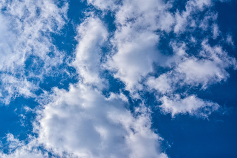 TogetherForCleanAir