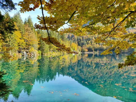 NatureLovers