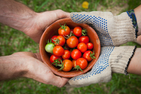 FoodSecurity