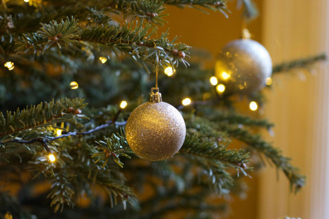 ChristmasTrees