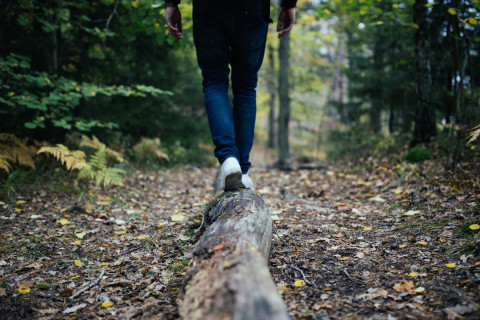 Stepsfortrees