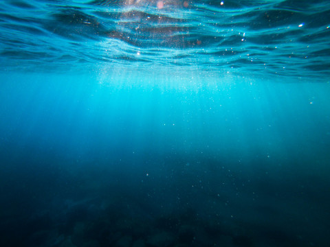 OceanDay