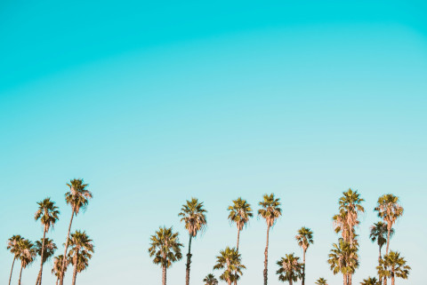 summer