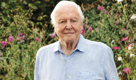 DavidAttenborough