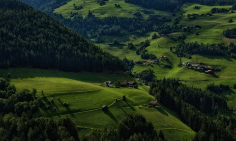 GreenFriday