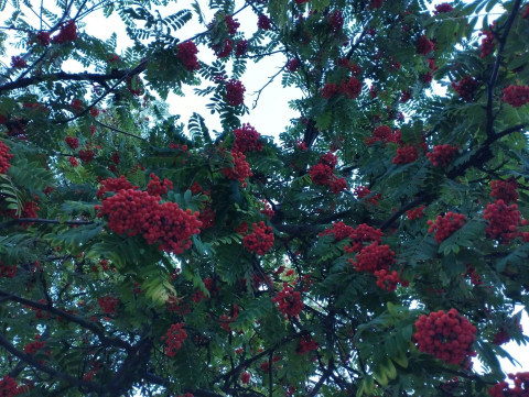 FruitfulMeeting