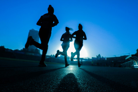 runfortrees