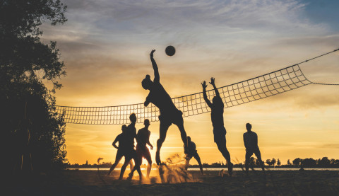 sportsherotree