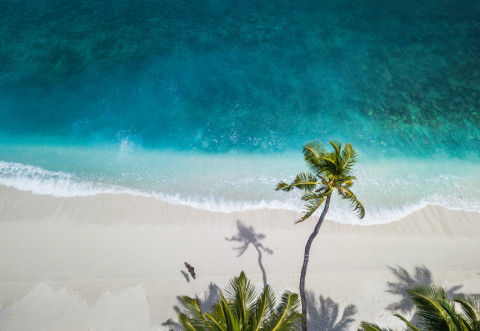 TropicsDay