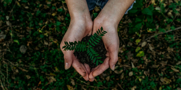 EarthDay