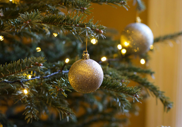 ChristmasTrees