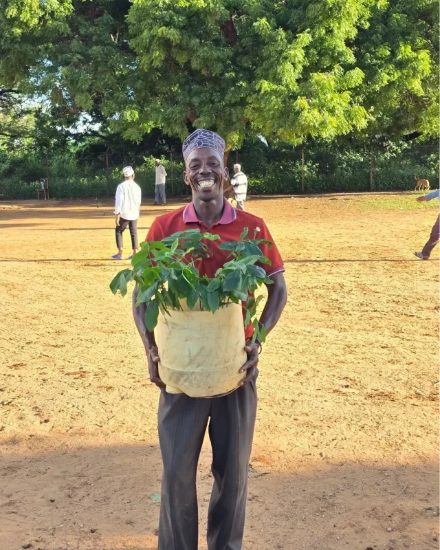 A man in a red polo shirt and patterned cap holds a tray of green saplings in a sandy field at a Forest Gardens nursery