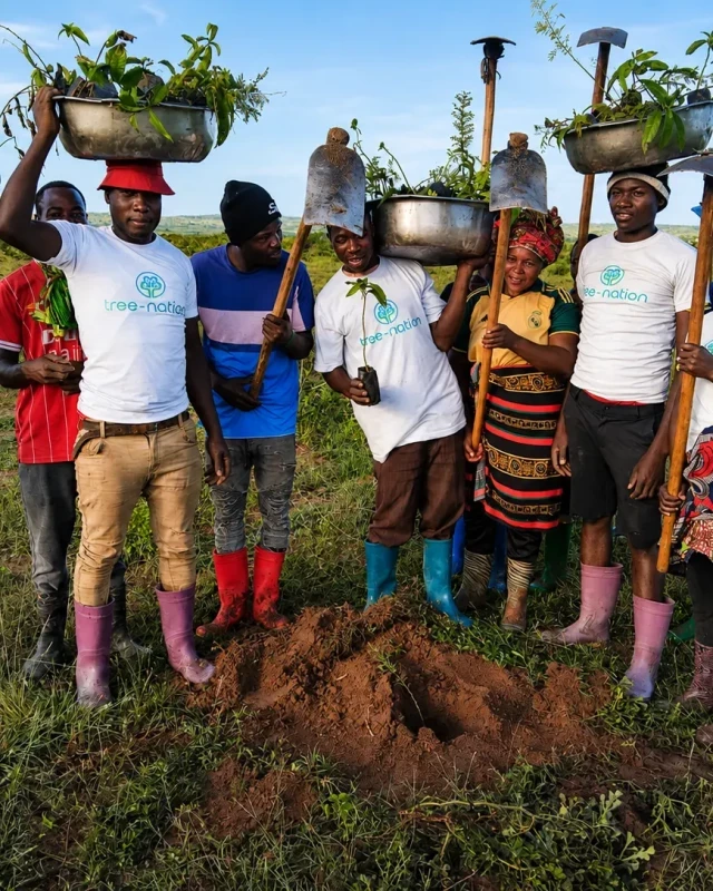 A group of people in tree-nation shirts planting saplings together in a grassy field at a Mission project site