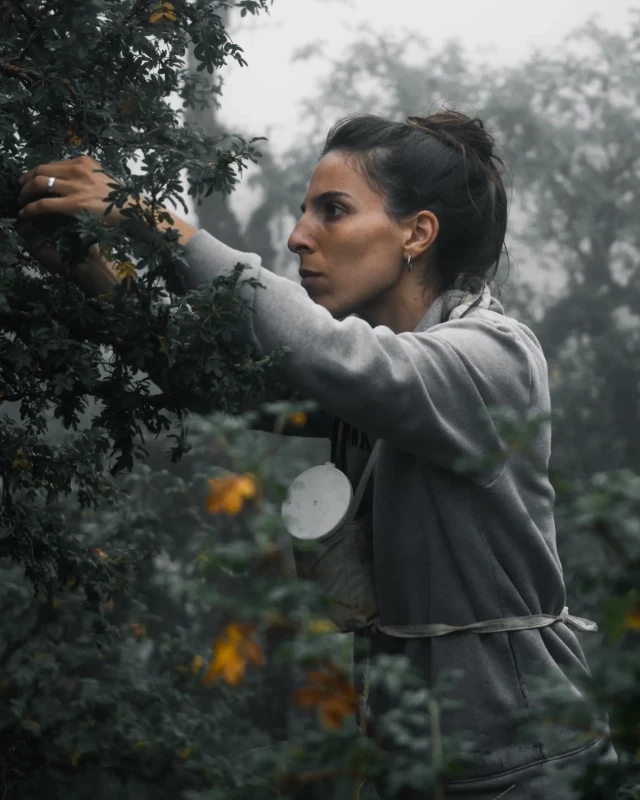 A woman reaching into a leafy bush in a misty forest at a Mission project site