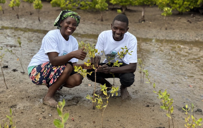 Two volunteers smiling as they hold up a young mangrove sapling on a tidal mudflat