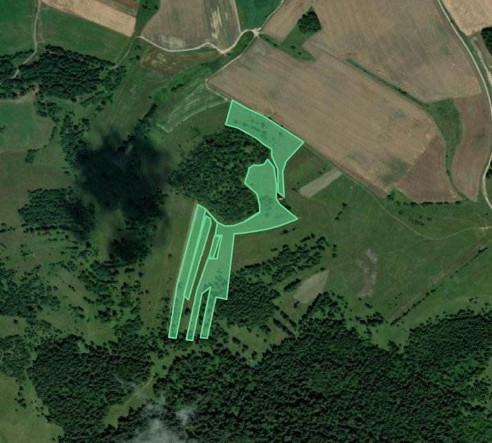 Satellite view of Bear Groves Transylvania in Romania outlined as green polygons