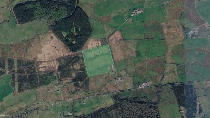Satellite view of Community Tree Plantation in Ireland outlined as green polygons