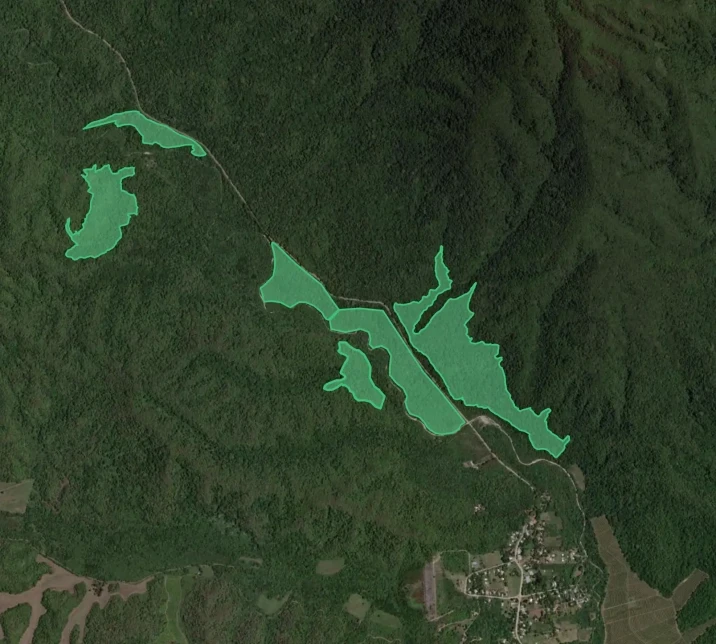 Satellite view of Bosques Yungas outlined as green polygons