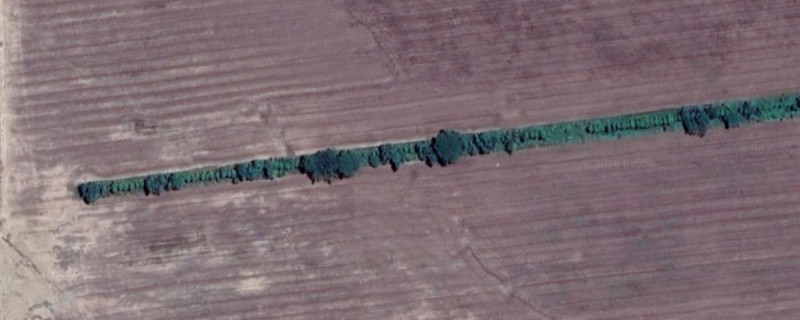 Amazon Windshield satellite imagery, 2021
