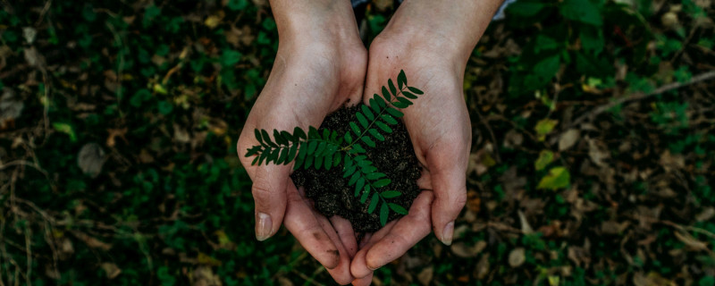 EarthDay