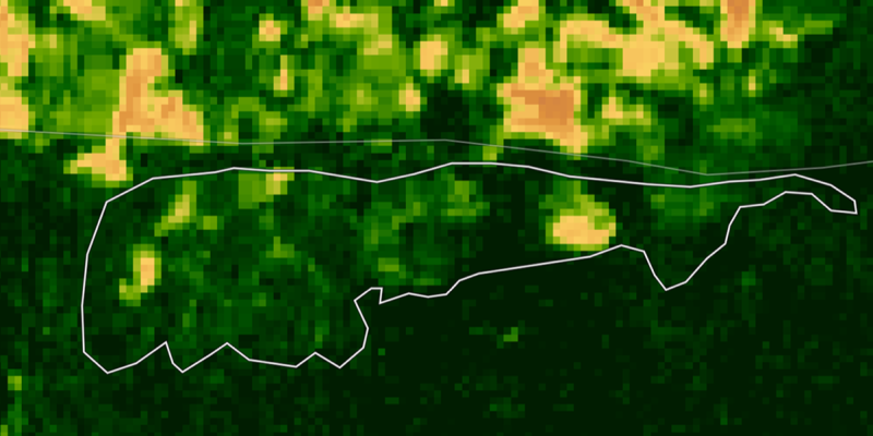 EVI capture of RESEX in 2020, before planting