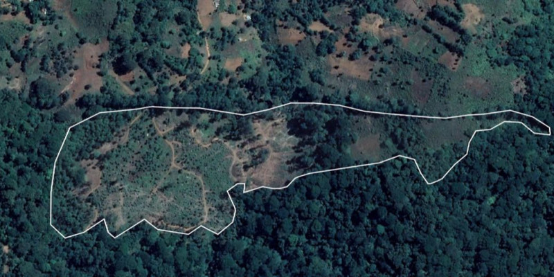 Satellite capture of the project site in 2020, before planting