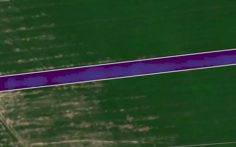 Aboveground carbon analysis of the planting line in 2021