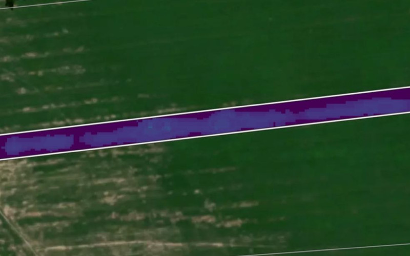 Aboveground carbon analysis of the same planting line in 2026, showing biomass growth
