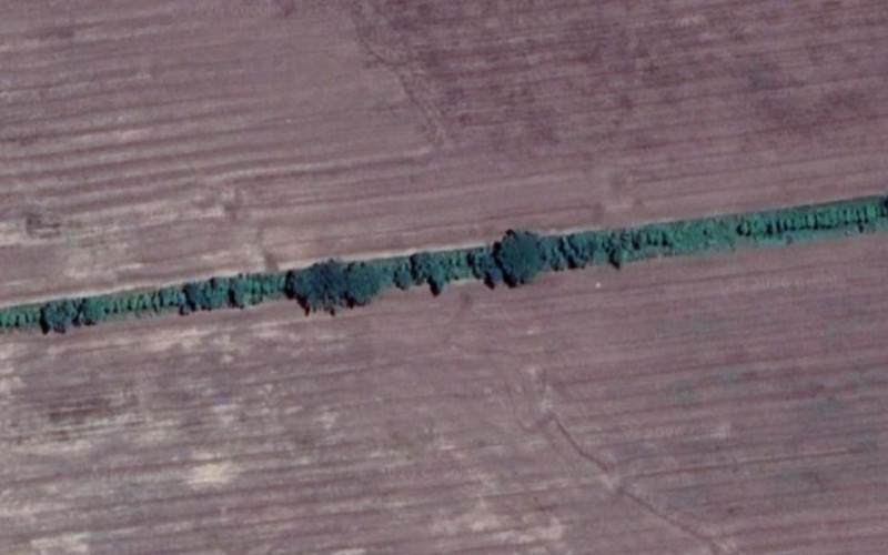 Satellite capture of the Amazon Windshield planting line in 2020