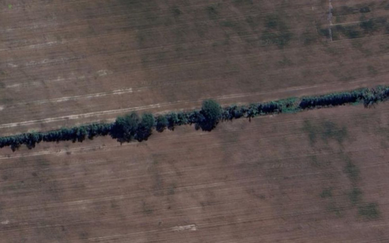 Satellite capture of the Amazon Windshield planting line in 2025, with established tree cover
