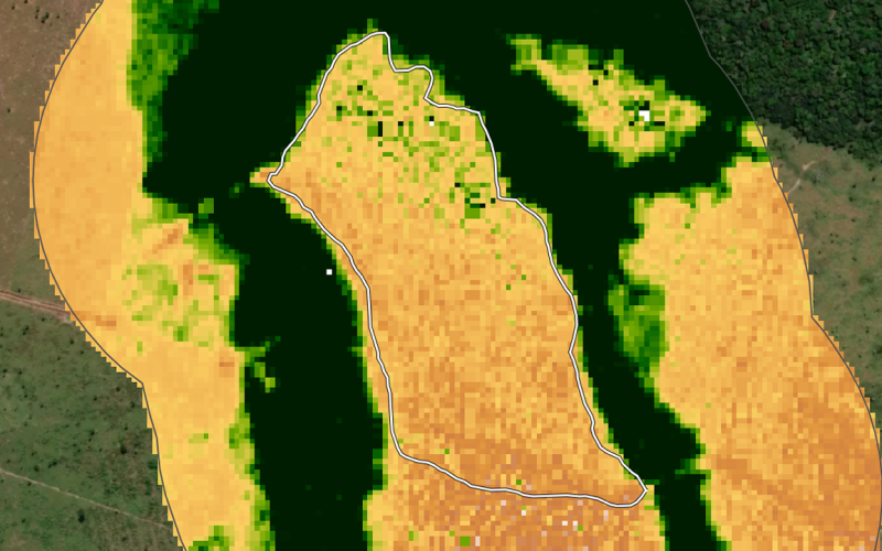 RESEX site satellite imagery, 2020