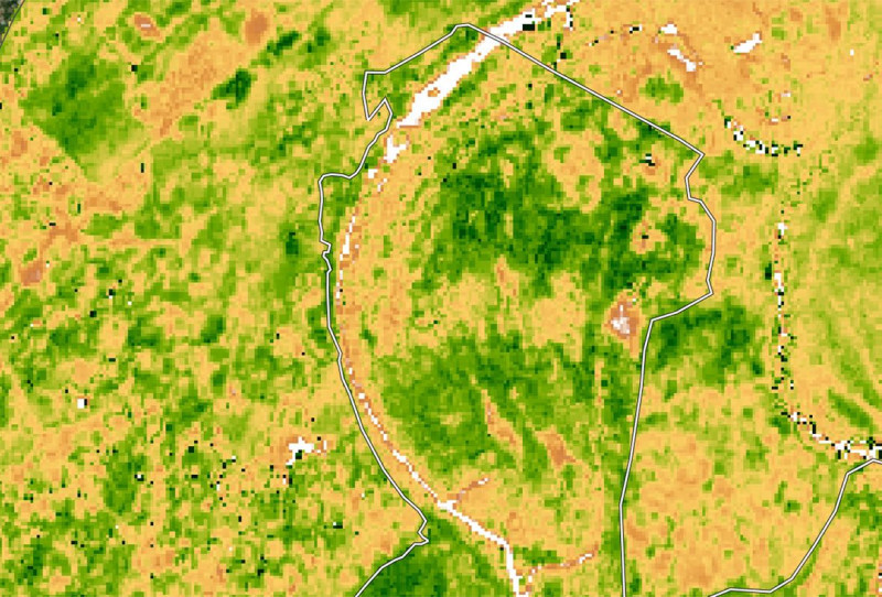 EVI capture of the Ivaguelani restoration site in 2021, before planting