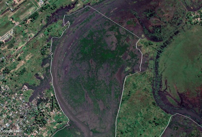 Satellite capture of the Ivaguelani restoration site in 2025, showing established vegetation